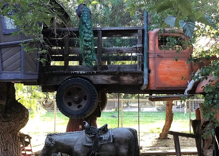 Wine Country Private Working Sheep Farm; Rustic Elegance
